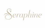 Translation missing: ro.SERAPHINE accessibility.home